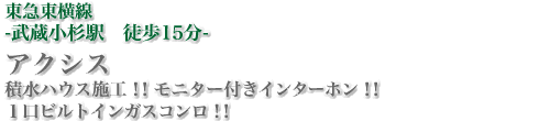 JR南武線-向河原駅徒歩5分-　アクシス　積水ハウス施工！！モニター付インターホン！！1口ビルトインガスコンロ！！