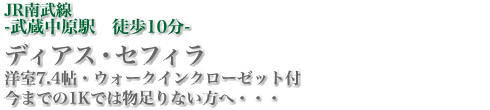 IR南武線-武蔵中原駅徒歩10分-　ディアス・セフィラ　洋室7.4帖・ウォークインクローゼット付　今までの1Kでは物足りない方へ・・・