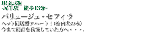 JR南武線-尻手駅徒歩13分-　バリュージュ・セフィラ　ペット同居型アパート！（室内犬のみ）今まで飼育を我慢していた方へ・・・。